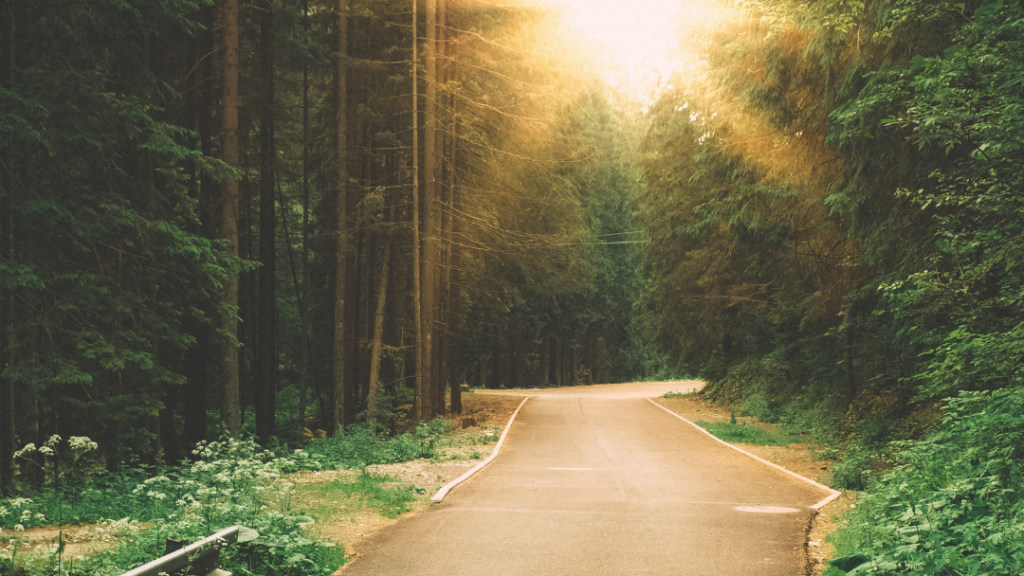 A Verdade Não é Relativa - Gustavo Terán